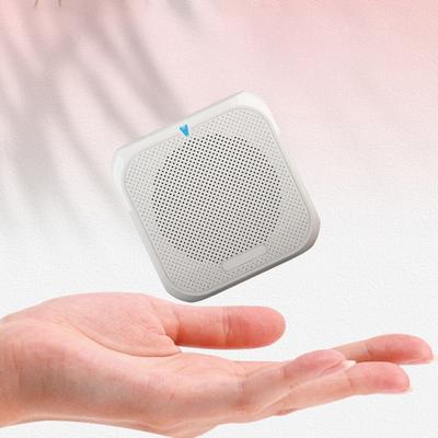 Amplificateur Vocal Portable Sans Fil Enseignants Réunion Guide Touristique Rechargeable Système PA Haut-Parleur Amplificateur Personnel Mégaphone avec Clip de Ceinture