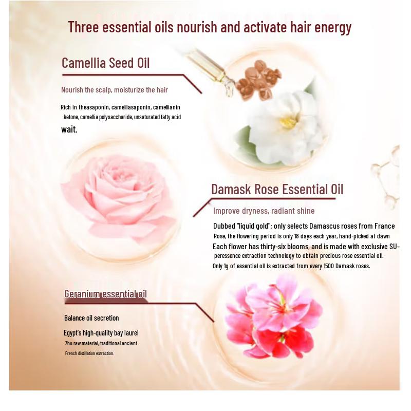 SURE Pure Camellia Hair Care Gift Set