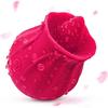 Pumpkin Rose Vibrating Egg: Women's Erotic Massager with Suction & Licking Functions