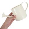 Lightweight Iron Watering Can with Comfortable Handle and Fine Sprinkler Nozzle for Houseplant Care Flower Watering Garden