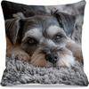 1 Modern Mini Schnauzer Dog Pillowcase, 18x18 Inches, Machine Washable, Single-sided Printing