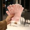 Thick Warm Outdoor Gloves Plush Cold-proof Gloves New Knitted Gloves  Christmas Gifts