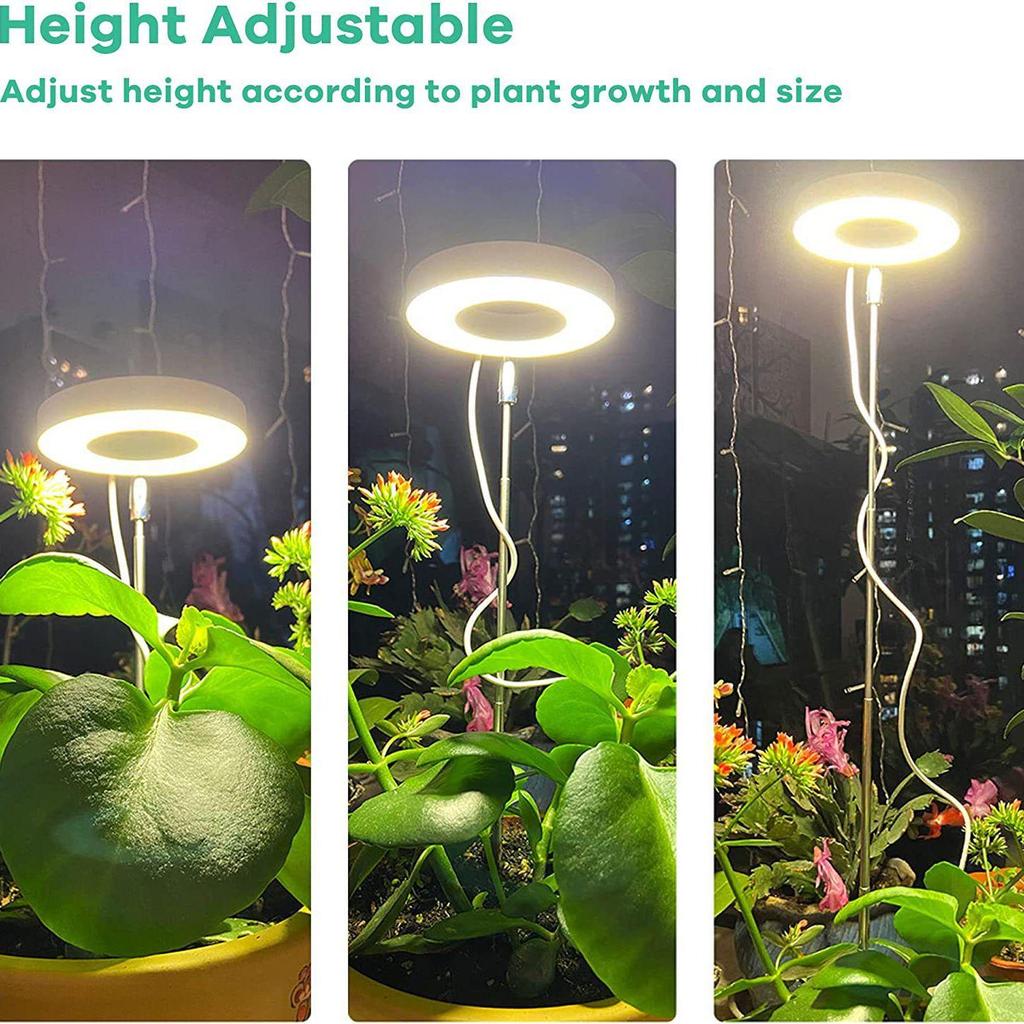 LED Retractable Full Spectrum Grow Light: Dimmable Angel Ring with Red, Blue, Warm Light for Indoor Plants and Succulents