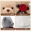 Ty Rose Bear Gray Height 25cm
