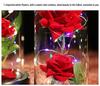 Glass Dome Rose with Lights - Creative Women's Day Gift and Night Light Ornament