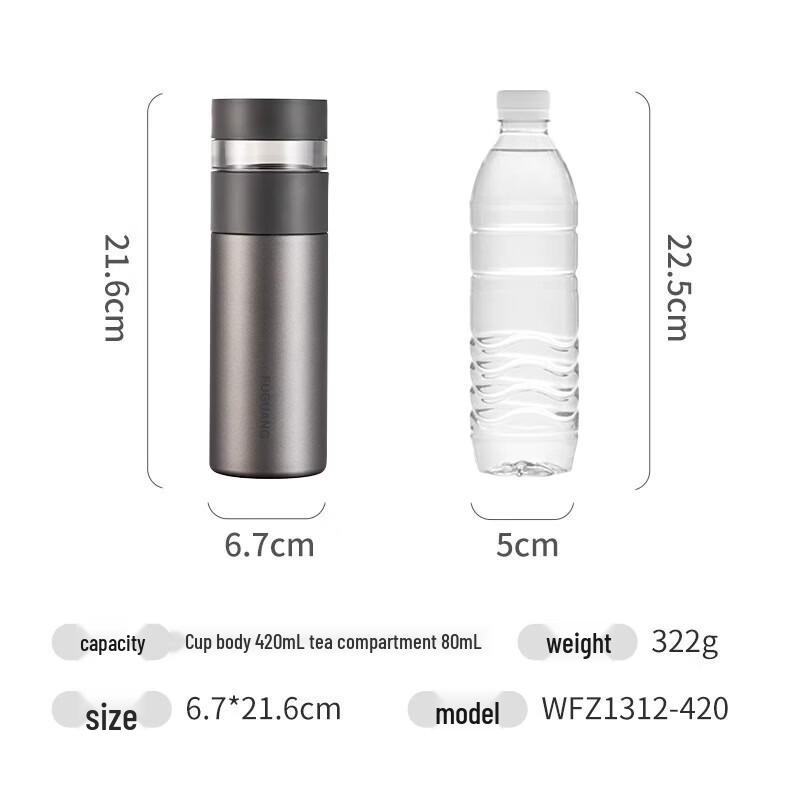 

Fuguang 316L Stainless Steel Insulated Tea Infuser Bottle