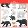 Realistic Bear Growth Cycle Models Featuring Arctic And Black Bear Static Decor