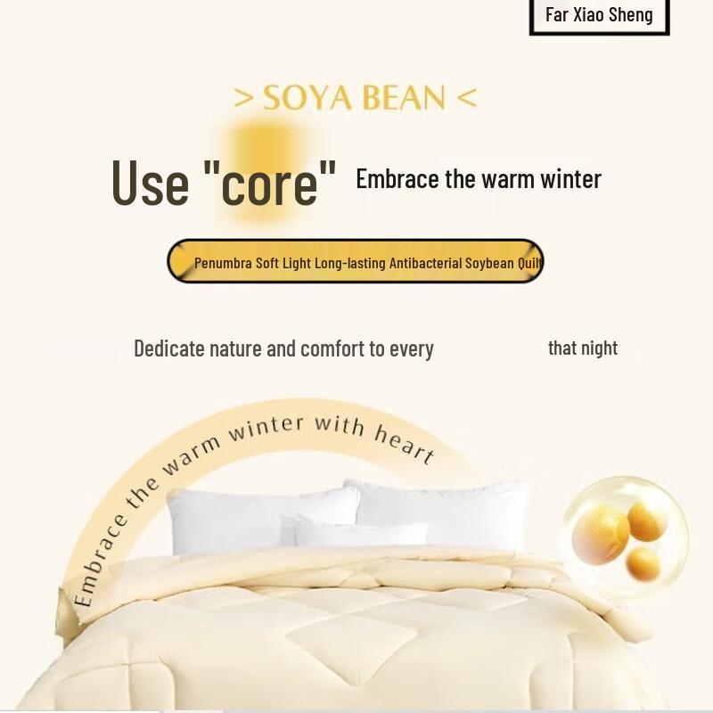 Mercury Home Textiles DH Antibacterial Soybean Fiber Quilt