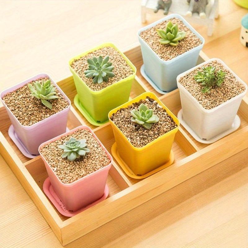 21 Set Vibrant Seedling Containers Colorful Square Plastic Flower Pots for Growing Succulent Plants with Trays Room Garden Decor