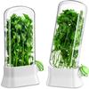 1-2Pcs Herb Keeper and Herb Saver – Glass Storage Container for Cilantro,Parsley,Mint,Asparagus,Keeps Greens Fresh for 2-3 Weeks