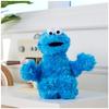 GUND SESAME STREET Cookie Monster 6047452