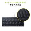 Sanwa Supply iPad Keyboard with Lightning Connection, Black, SKB-IP3BK