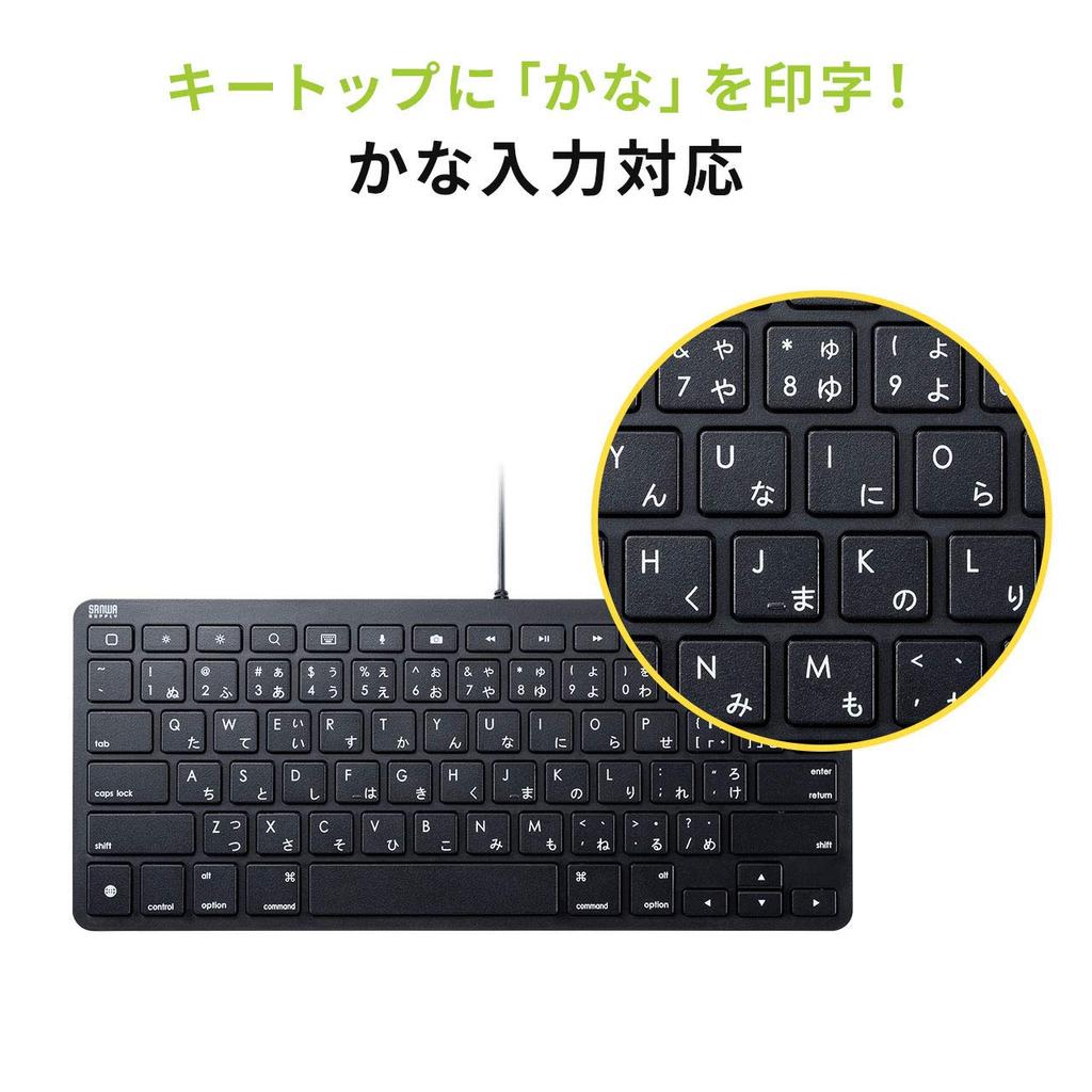 Sanwa Supply iPad Keyboard with Lightning Connection, Black, SKB-IP3BK