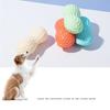 Pet Voice Teething Bone Toy Durable Teething Material Dog Interactive Toy Pet Teeth Cleaning Toy