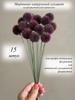 Dried flowers Pampas grass 120 cm 5 pcs copper