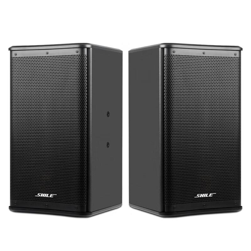 SHILE BX-110 10-inch Professional Passive Speaker Pair
