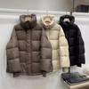 Autumn and Winter New White Duck Down Big Lapel Puff Down Jacket Women's Medium and Long Big-name Loose Stand-up Collar Jacket