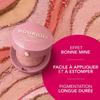 BOURJOIS Blush - Boite ronde - 85 Sienne