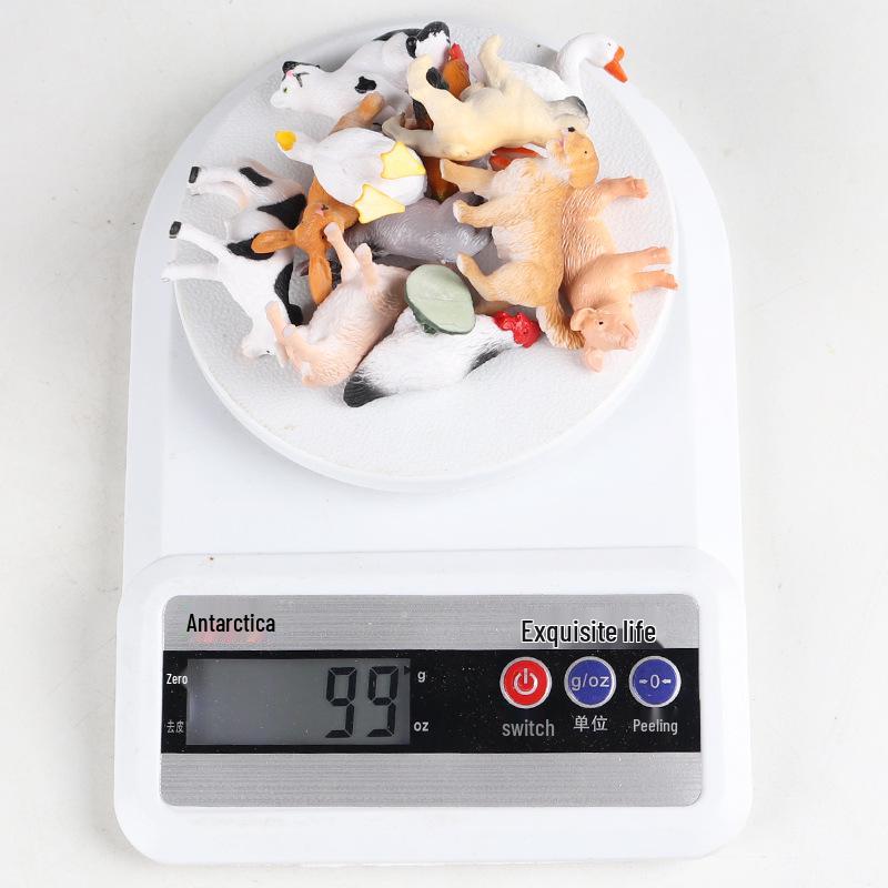 Marine Animal Models: Tuna, Triggerfish, Dolphin, Moray Eel, Squid, Whale Shark, Hammerhead Shark, Sea Turtle, Swordfish