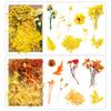 1 Bag Dried Flowers Pressed Dry Flower For DIY Phone Case Epoxy Resin Filling Pendant Jewelry Making Crafts Nail Art Decor