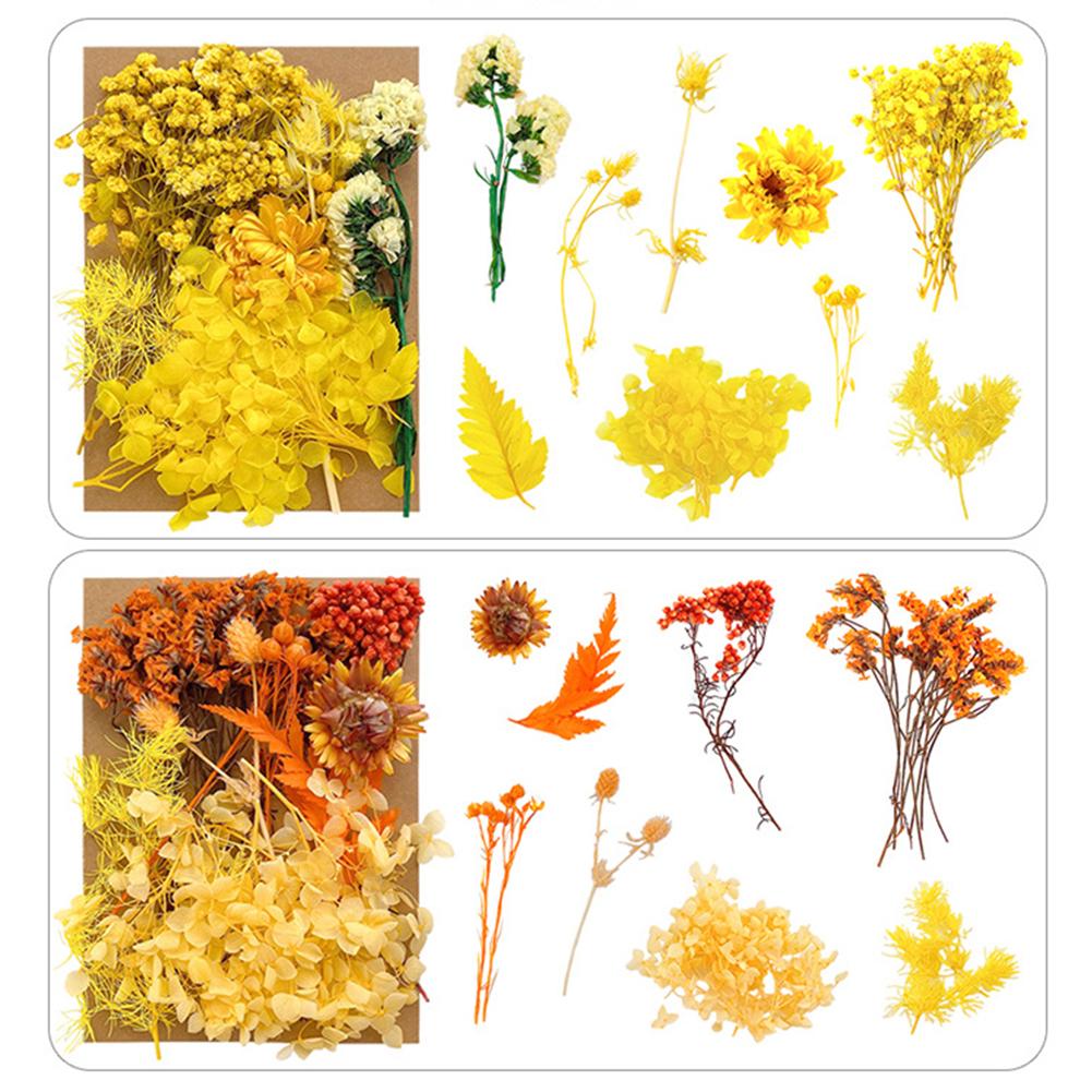 1 Bag Dried Flowers Pressed Dry Flower For DIY Phone Case Epoxy Resin Filling Pendant Jewelry Making Crafts Nail Art Decor