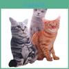 Adorável Almofada de Gato de Simulação 3D de 50cm Brinquedo de Pelúcia Almofada Para Decoração Aconchegante de Casa