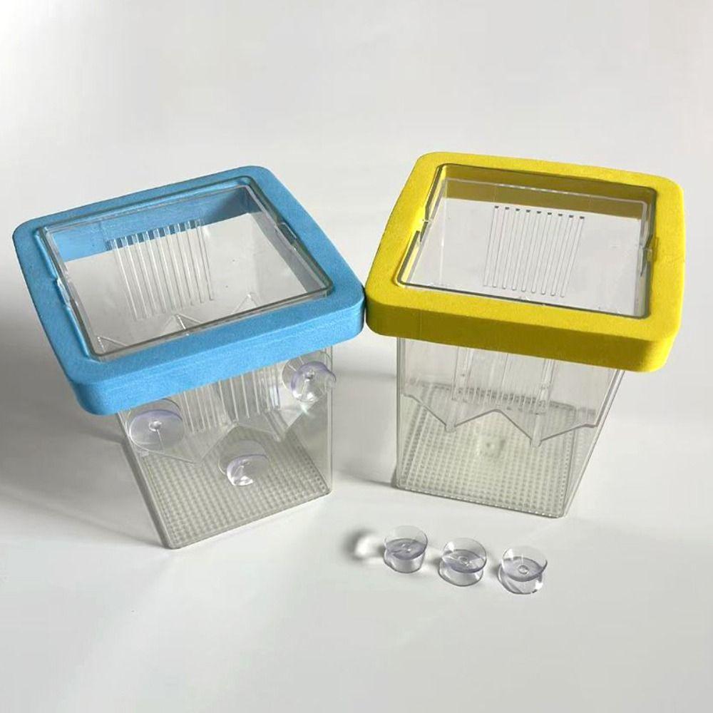 Square Aquarium Fish Breeding Box Clear Fish Tank Hatching Incubator  Aquarium