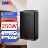 DAIPU 10-inch 250W Passive Full-Range Conference Speaker (CN Version)