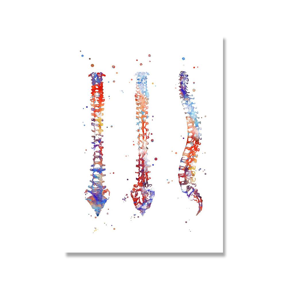 

Анатомия человека, настенная живопись, холст, живопись, плакаты и принты, мозг, разум, позвоночник, настенные картины, медицинское образование, домашний декор 21x30cm No Framed