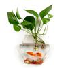 Hydroponics Plants Wall Hanging Vase Transparent Plant Propagation Vase  for Home Office Decor