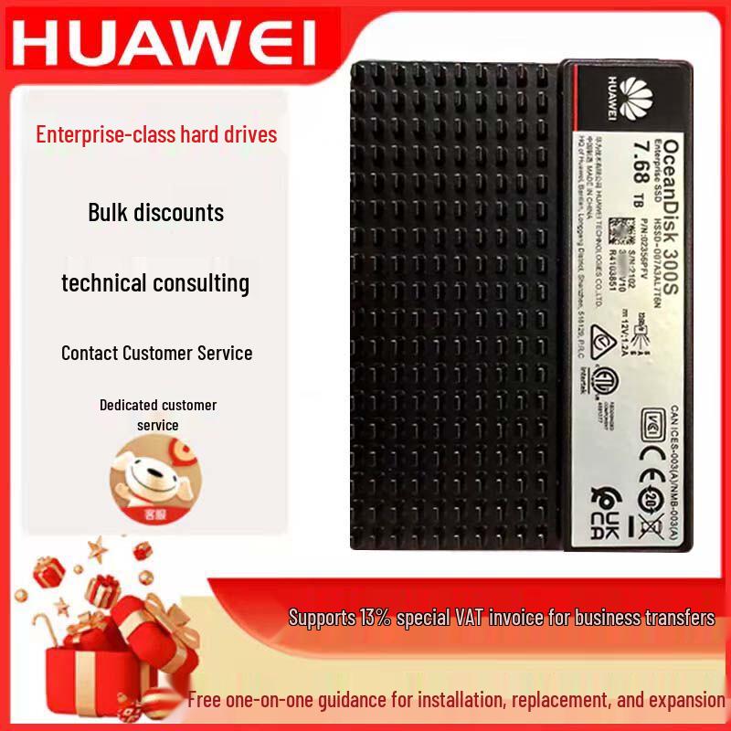 Huawei Enterprise Server Drives