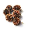 Pine Cone Christmas Ornaments & Tree Decoration Supplies