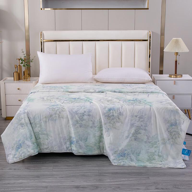 

LISM Digital Cooling Silk Summer Quilt