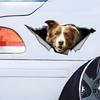 Brown and White Border Collie Car Stickers, Waterproof Pvc Animal Decals With 3D Effect, Block Scratches and Increase Fun Auto Parts