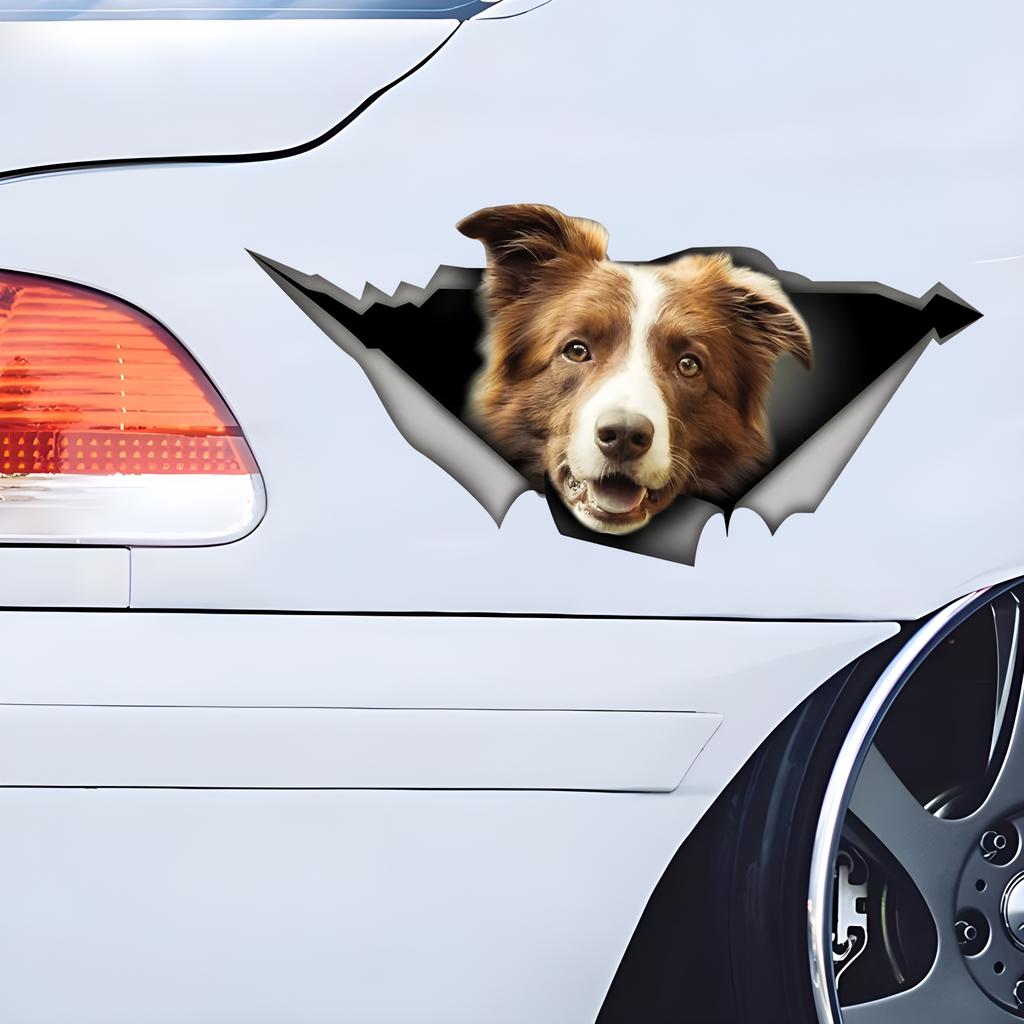 Brown and White Border Collie Car Stickers, Waterproof Pvc Animal Decals With 3D Effect, Block Scratches and Increase Fun Auto Parts