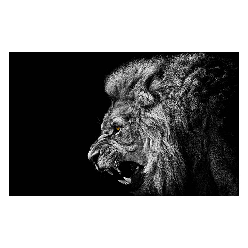 African Animal Lion Posters and Print Black and White Wall Art Canvas Oil Painting Picture for Living Room Decor Home Decoration