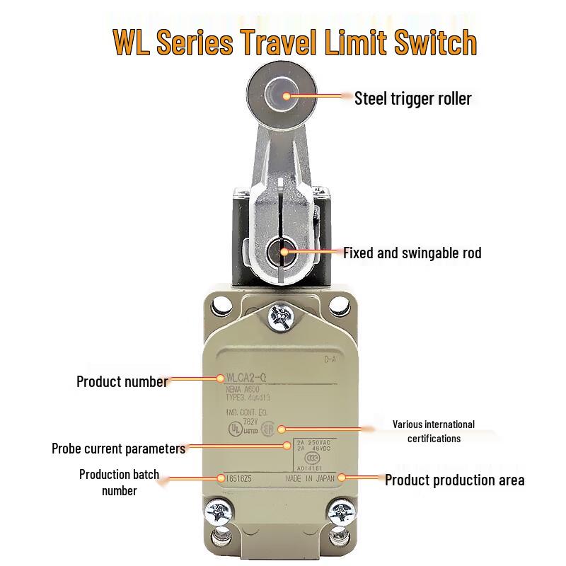 WLCA2-N High Temperature Limit Switch