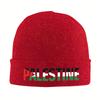 Palestined Hat Autumn Winter Beanie Warm  Caps Female Male Acrylic Knitted Caps