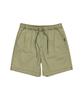 Stretch Washed Walk Shorts