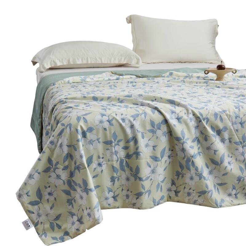 

Taihu Snow Tussah Silk Summer Quilt