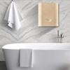 Panel Wall-mounted Toilet Into The Wall Hidden Water Tank Flush Button Home Flush Panel