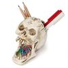 Skull Pen Holder Makeup Brush Holder Skull Pencil Organizer Pot Spooky Goth Decorations Skull Key Holder Trick or Treat Decor
