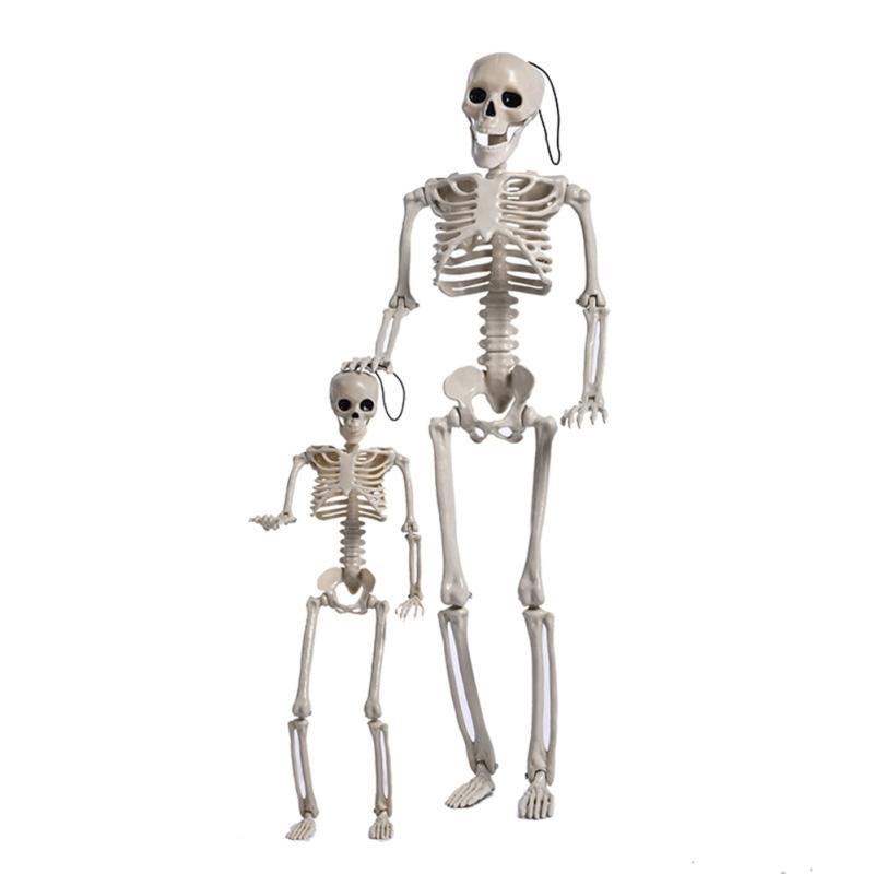 Anatomy Skeleton Model Medical Learning Skeleton Art Layout Props For Halloween Party Decoration