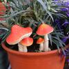 3Pcs Cartoon Mushroom Figurines Realistic Looking Weather-Resistant Outdoor Miniature Statues Potted Landscape