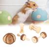 5Pcs Set Small Pet Hamster Wooden Safety Playing Toy Molar Teeth for Rabbit Guinea Pig