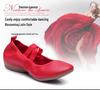 2023 Cross-Border Soft Sole Square Dance Ballet Practice Shoes, Flat Heel, Adult