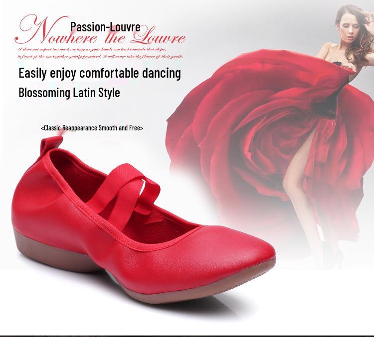 2023 Cross-Border Soft Sole Square Dance Ballet Practice Shoes, Flat Heel, Adult
