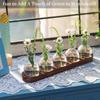 BHBL Plant Terrarium Propagation Station, Glass Planter Bulb Vase with Wooden Tray, Modern Bud Vases for Living Room