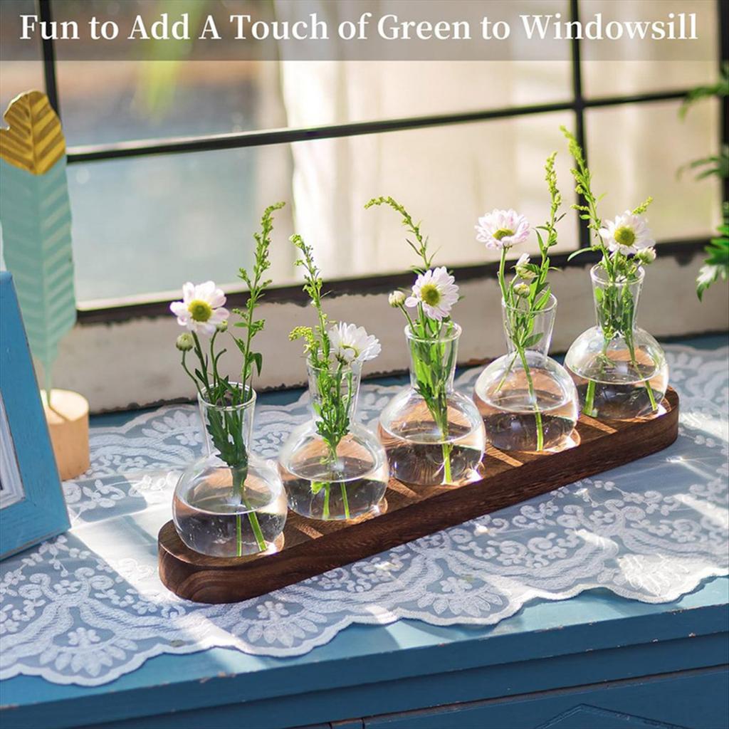 BHBL Plant Terrarium Propagation Station, Glass Planter Bulb Vase with Wooden Tray, Modern Bud Vases for Living Room