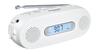 Panasonic FM-AM 2-Band Receiver, White, RF-TJ20-W